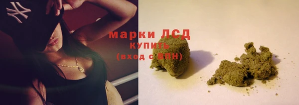 стафф Алексин