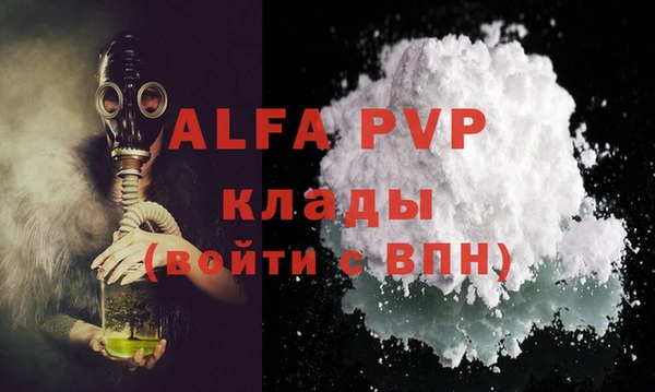 стафф Алексин
