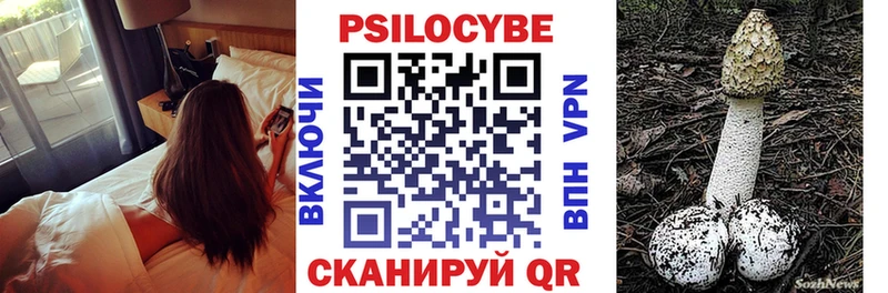 Псилоцибиновые грибы Psilocybine cubensis  Благовещенск 